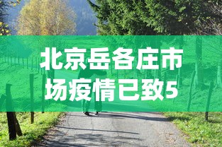北京岳各庄市场疫情已致50人感染︰(北京岳各庄市场疫情已致50人感染者)