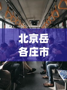 北京岳各庄市场疫情已致50人感染︰(北京岳各庄市场疫情已致50人感染者)