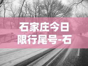 石家庄今日限行尾号-石家庄今日限行尾号查询2024年