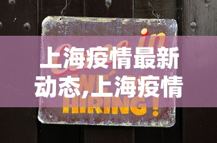上海疫情最新动态,上海疫情最新况