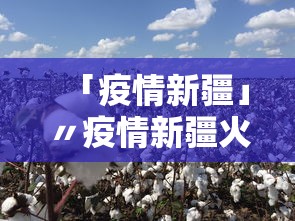 「疫情新疆」〃疫情新疆火灾