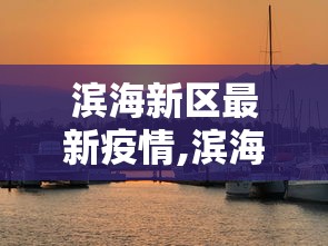 滨海新区最新疫情,滨海新区疫情最新信息今日