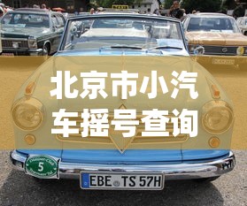 北京市小汽车摇号查询系统.北京市小气车摇号查询