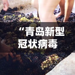 “青岛新型冠状病毒” 青岛新型冠状病毒疫情？