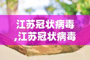 江苏冠状病毒,江苏冠状病毒疫情
