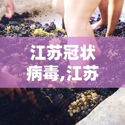 江苏冠状病毒,江苏冠状病毒疫情