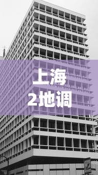 上海2地调整为高风险区︰(上海认定的高风险地区)
