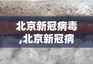 北京新冠病毒,北京新冠病毒什么时候清零的 新闻