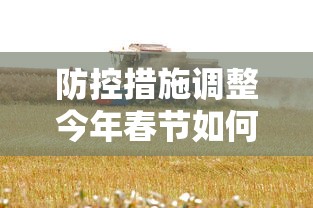 防控措施调整今年春节如何返乡?〃今年春节返乡会不会隔离
