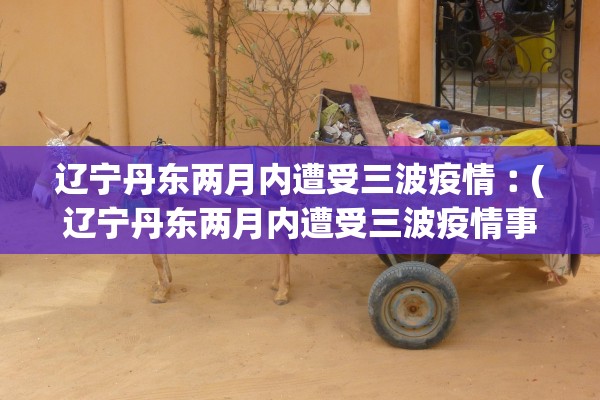 辽宁丹东两月内遭受三波疫情︰(辽宁丹东两月内遭受三波疫情事件)