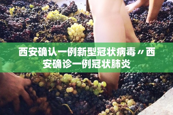 西安确认一例新型冠状病毒〃西安确诊一例冠状肺炎