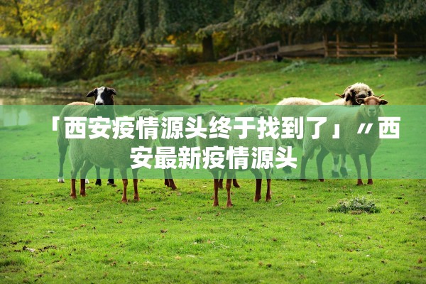 「西安疫情源头终于找到了」〃西安最新疫情源头