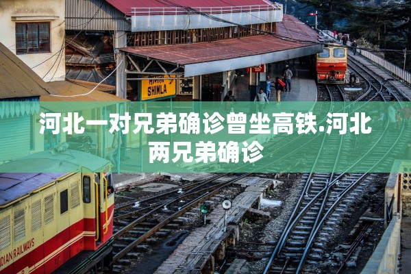 河北一对兄弟确诊曾坐高铁.河北两兄弟确诊 河北一对兄弟确诊曾坐高铁.河北两兄弟确诊