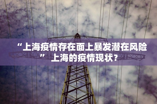 “上海疫情存在面上暴发潜在风险” 上海的疫情现状？