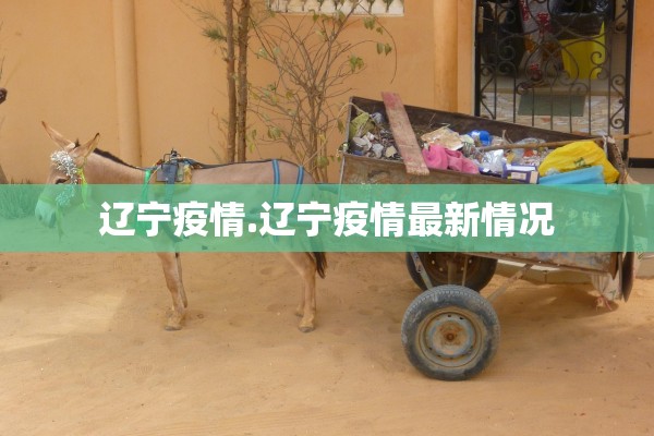 辽宁疫情.辽宁疫情最新情况