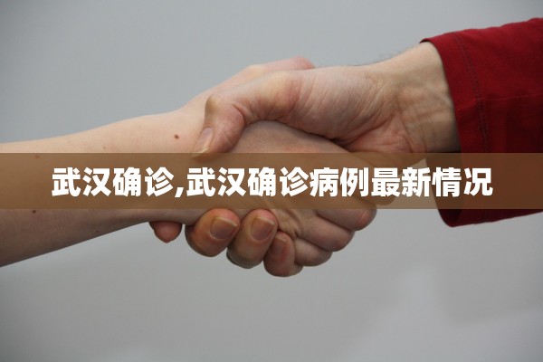 武汉确诊,武汉确诊病例最新情况 武汉确诊,武汉确诊病例最新情况