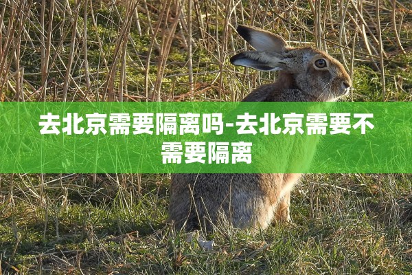 去北京需要隔离吗-去北京需要不需要隔离