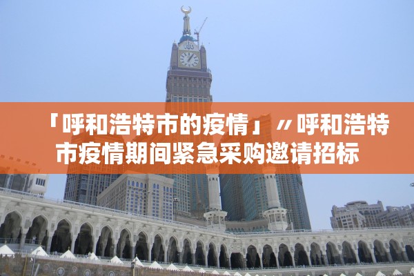 「呼和浩特市的疫情」〃呼和浩特市疫情期间紧急采购邀请招标