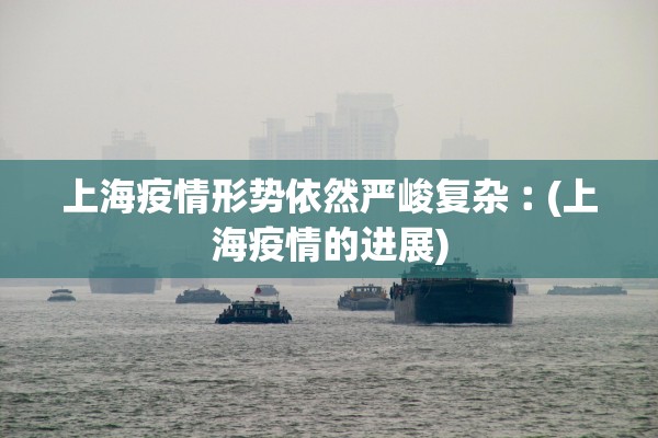 上海疫情形势依然严峻复杂︰(上海疫情的进展)