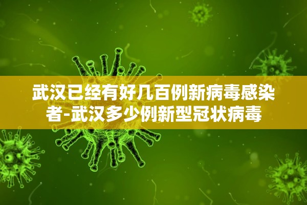 武汉已经有好几百例新病毒感染者-武汉多少例新型冠状病毒 武汉已经有好几百例新病毒感染者-武汉多少例新型冠状病毒