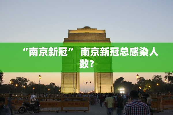 “南京新冠	” 南京新冠总感染人数？