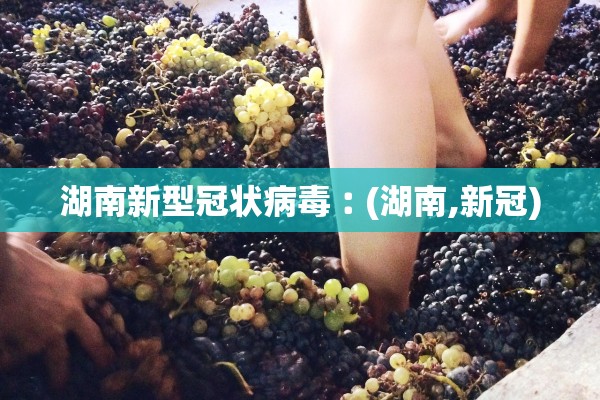 湖南新型冠状病毒︰(湖南,新冠) 湖南新型冠状病毒︰(湖南,新冠)