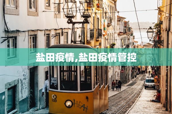 盐田疫情,盐田疫情管控
