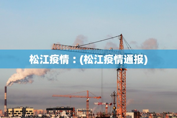 松江疫情︰(松江疫情通报)