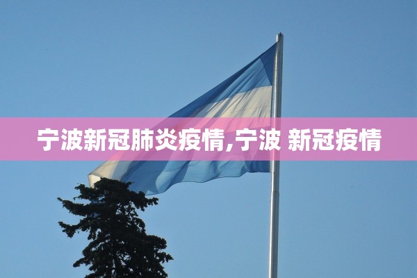 宁波新冠肺炎疫情,宁波 新冠疫情