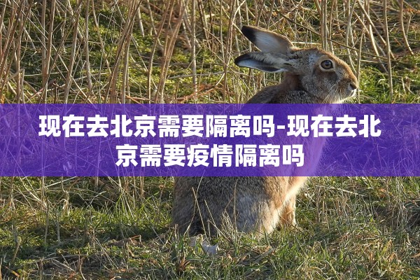 现在去北京需要隔离吗-现在去北京需要疫情隔离吗