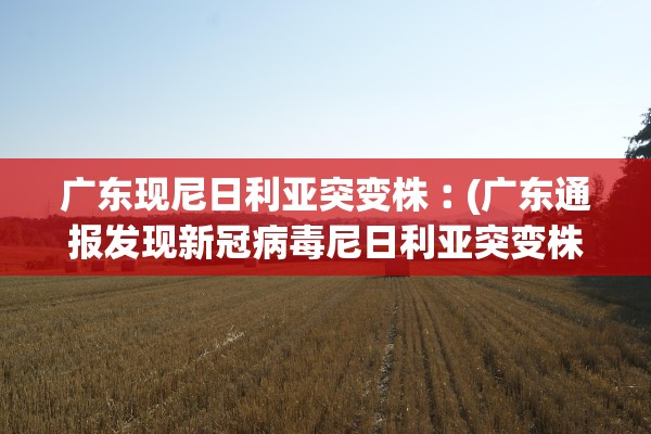 广东现尼日利亚突变株︰(广东通报发现新冠病毒尼日利亚突变株)