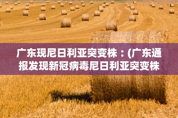 广东现尼日利亚突变株︰(广东通报发现新冠病毒尼日利亚突变株)