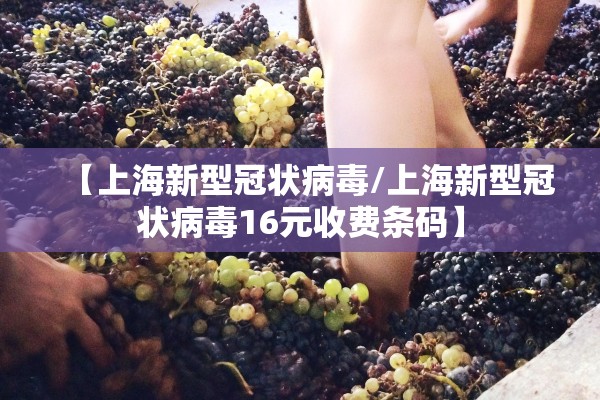 【上海新型冠状病毒/上海新型冠状病毒16元收费条码】