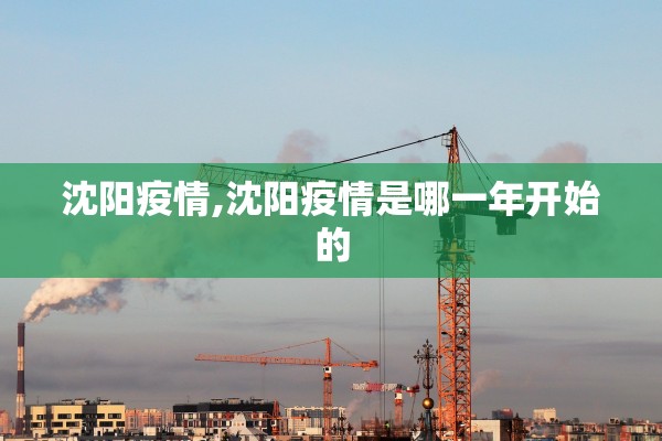 沈阳疫情,沈阳疫情是哪一年开始的