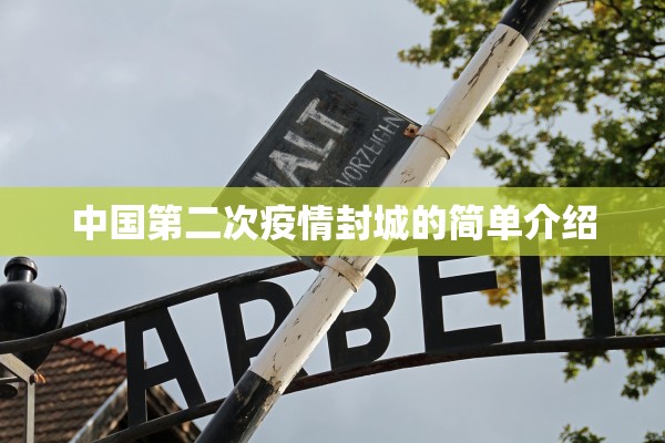 中国第二次疫情封城的简单介绍