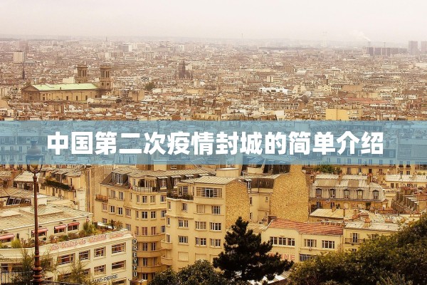 中国第二次疫情封城的简单介绍