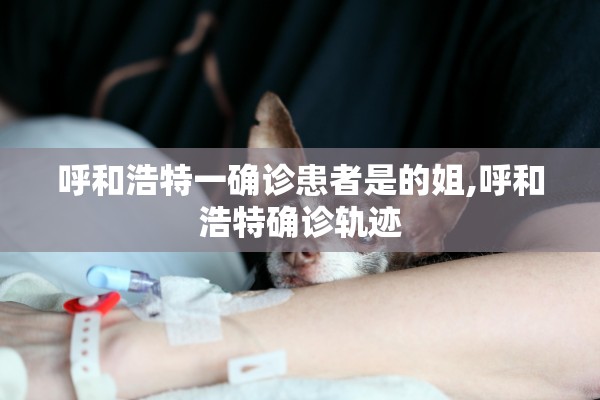 呼和浩特一确诊患者是的姐,呼和浩特确诊轨迹