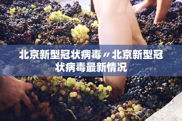 北京新型冠状病毒〃北京新型冠状病毒最新情况