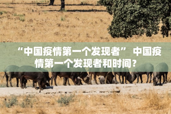 “中国疫情第一个发现者” 中国疫情第一个发现者和时间？