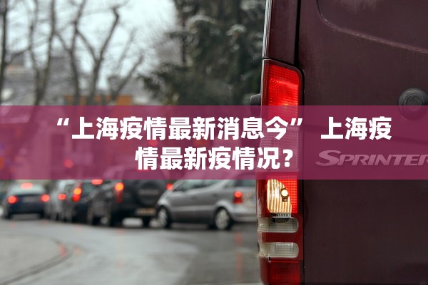 “上海疫情最新消息今	” 上海疫情最新疫情况？