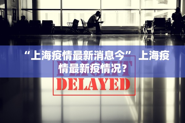 “上海疫情最新消息今” 上海疫情最新疫情况？