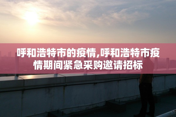 呼和浩特市的疫情,呼和浩特市疫情期间紧急采购邀请招标