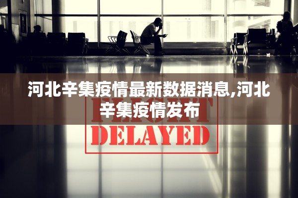 河北辛集疫情最新数据消息,河北辛集疫情发布