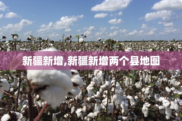 新疆新增,新疆新增两个县地图 新疆新增,新疆新增两个县地图