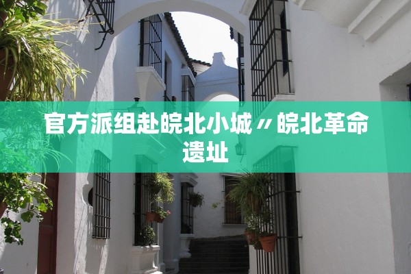 官方派组赴皖北小城〃皖北革命遗址