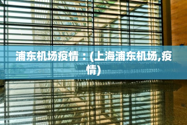 浦东机场疫情︰(上海浦东机场,疫情)