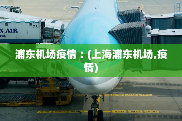 浦东机场疫情︰(上海浦东机场,疫情)