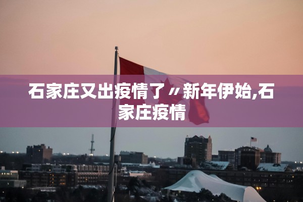 石家庄又出疫情了〃新年伊始,石家庄疫情 石家庄又出疫情了〃新年伊始,石家庄疫情