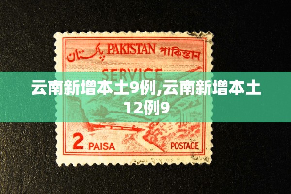 云南新增本土9例,云南新增本土12例9