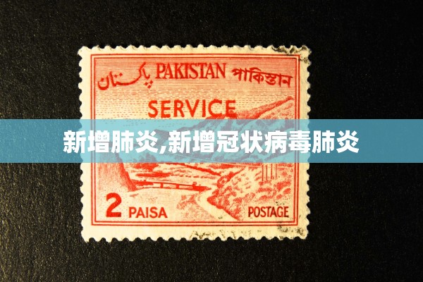 新增肺炎,新增冠状病毒肺炎